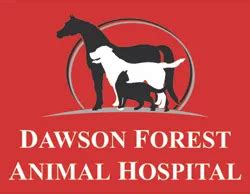 dawson forest animal hospital